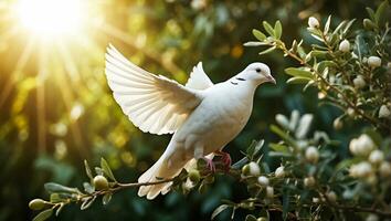 AI generated White dove on a background of a tree branch photo