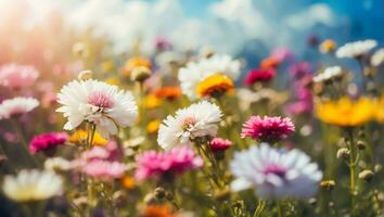 ai generado hermosa verano flores en un prado de cerca, antecedentes foto