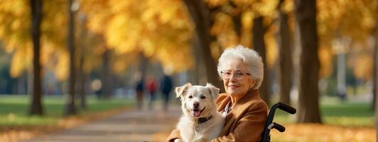 ai generado mayor mujer en un silla de ruedas con un perro fuera de en el parque foto