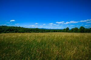 Appalachian Summer Fields photo