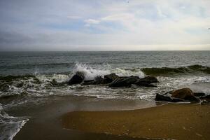 Spring on a Beach photo