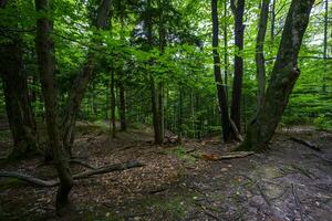 Chestnut Ridge Park Eternal Flame Falls photo