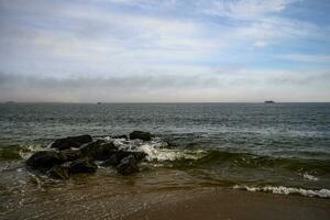 Spring on a Beach photo