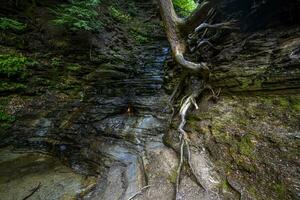 Chestnut Ridge Park Eternal Flame Falls photo