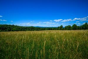 Appalachian Summer Fields photo