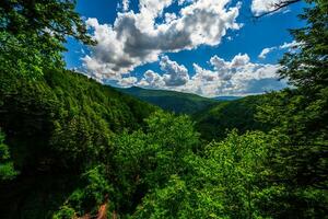 Above the Waterfall photo