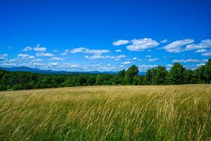 Appalachian Summer Fields photo