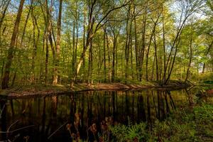 Spring in Hudson Valey photo