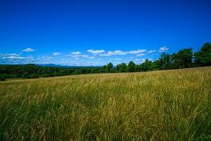 Appalachian Summer Fields photo