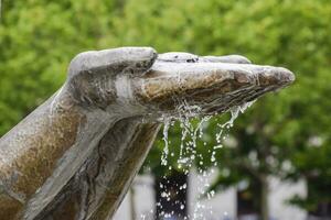 Hands statue from which water flows. Monument decoration on the fountain photo