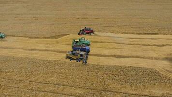 Harvesting wheat harvester. Agricultural machines harvest grain on the field. photo