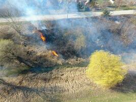 Burning dry grass along the irrigation canal. Smoke and the flame of dry grass. Burnt dry grass. photo