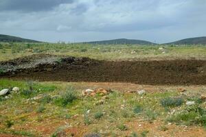Piles of manure in field. Cow and horse manure with land. photo