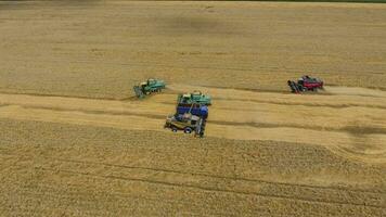 Harvesting wheat harvester. Agricultural machines harvest grain on the field. photo