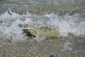 Sea waves run ashore, bubbling and stone covering photo