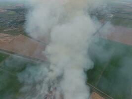 Burning straw in the fields photo