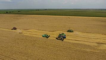 Harvesting wheat harvester. Agricultural machines harvest grain on the field. photo