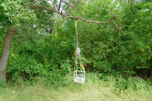 Childrens swing on a branch of an old tree. Children's leisure in the garden. photo