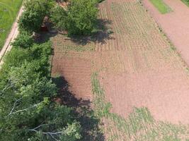 top view of the homestead garden. spring planting in the garden. photo