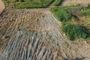 Rectangular bales of hay on the field. Hay photo