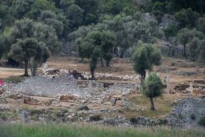 Ancient ruins of antique buildings photo