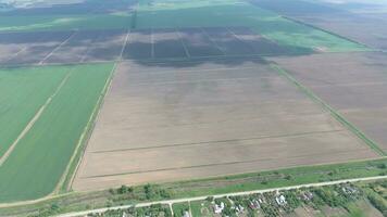 Fields in the Kuban view from a height. Young wheat and plowed field a little further from the village. photo