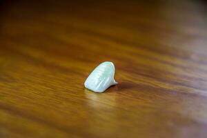 Tooth, metal ceramic crown on the table. Denture made of metal ceramics photo