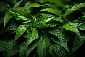 AI generated Lush green leaves in a harmonious pattern, a symbol of earth vital balance, nature conservation photos