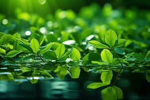 AI generated A serene scene of green leaves mirrored in calm waters, go green images photo