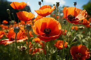 AI generated Bees and the vital cycle of pollen collection, spring photography photo