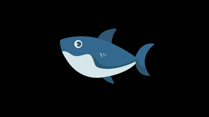 Baby Shark Swims In The Ocean On Alpha Channel 36248424 Stock Video at