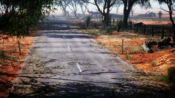 An empty road surrounded by trees in a secluded natural setting video