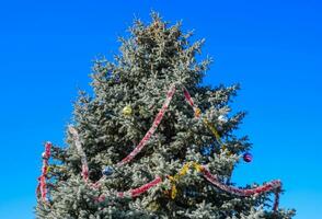 decoraciones nuevo año árbol. oropel y juguetes, pelotas y otro decoraciones en el Navidad Navidad árbol en pie en el abierto aire. foto