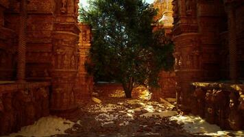 A tree in the middle of a stone archway video