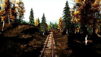 A scenic train track winding through a lush forest at sunset video