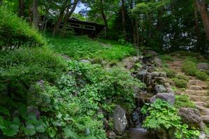 un japonés jardín estanque a tonogayato jardín en verano soleado día foto