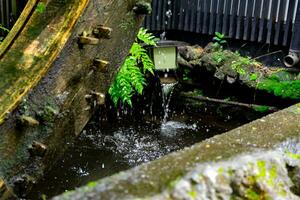 un histórico de madera rueda en el agua superficie en tokio cerca arriba foto