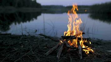 A fire burns on the shore of a forest lake. Calm and relaxation concept. video