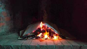 brand brinnande böcker i en öppen spis video