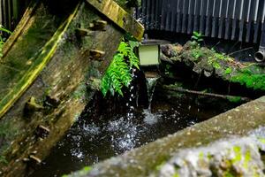 A historic wooden wheel on the water surface in Tokyo close up photo