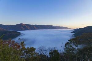 A sea of clouds at the top of the mountain in Kyoto wide shot photo