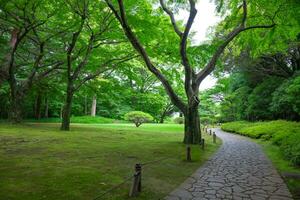 A Japanese garden at the public green park wide shot photo