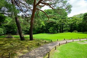 A Japanese garden at the public green park wide shot photo