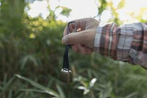 A bear bell with hand at the green forest in Autumn photo