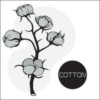 Branch of cotton with flowers and tangles. wildflowers with stems, floral and botanical elements in sketch style. isolated. vector