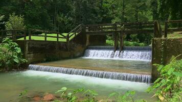 frisch Wasser fließend von das archaisch Beton Wehr durch Grün Rasen im raman Wald Park während Sommer. Wasser Verwaltung zum verwenden im das Gemeinschaft. Phang nga Provinz. Thailand. video