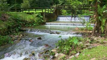 Wasser Strom fließend von das klein alt Beton Wehr durch Grün Pflanzen im raman Wald Park. Wasser Quelle im Sommer. natürlich Erhaltung. Phang nga Provinz. Thailand. video