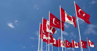 Canada and Turkey Flags Waving Together in the Sky, Seamless Loop in Wind, Space on Left Side for Design or Information, 3D Rendering video