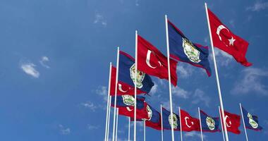 Belize and Turkey Flags Waving Together in the Sky, Seamless Loop in Wind, Space on Left Side for Design or Information, 3D Rendering video