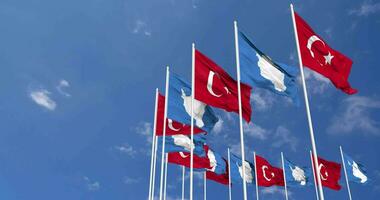 Antarctica and Turkey Flags Waving Together in the Sky, Seamless Loop in Wind, Space on Left Side for Design or Information, 3D Rendering video